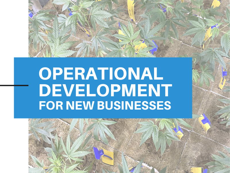 3 Operations Development for New Businesses